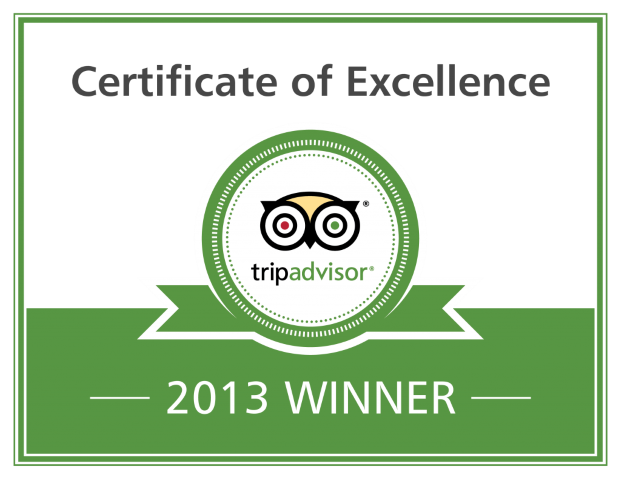 Certificate of Excellence 2013
