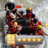 5 Star Review