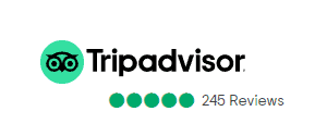 Review TripAdvisor