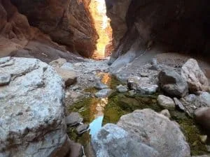 Tapeats Sandstone in Blacktail Canyon.