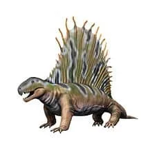 Dimetrodon lived during the deposition of the Coconino Sandstone.