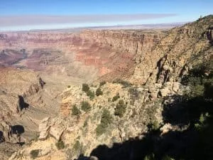 The Toroweap Formation in Grand Canyon
