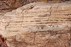 Bass Limestone Grand Canyon Geological Layer